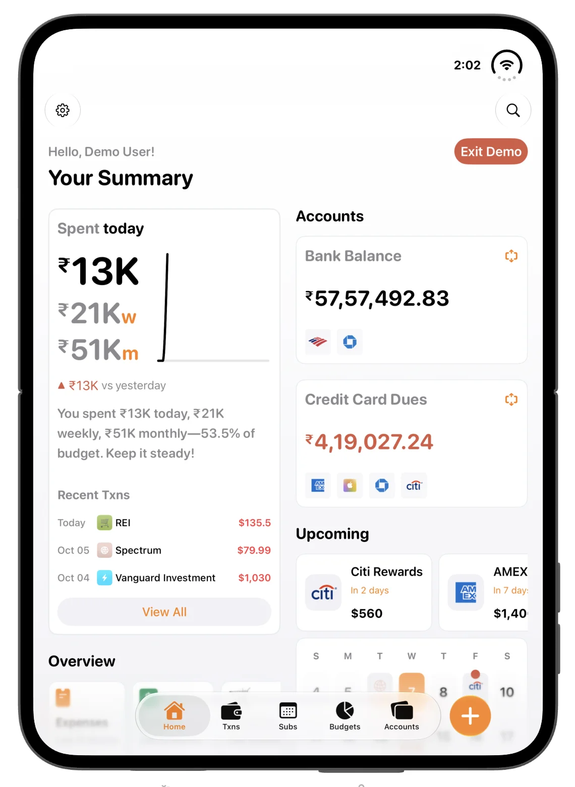 The open portrait summary brings spending, balances, upcoming payments and overview widgets together.